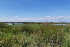 Laguna de Galisteo