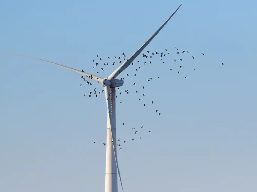 Grupo de aves volando alrededor de molino de viento.