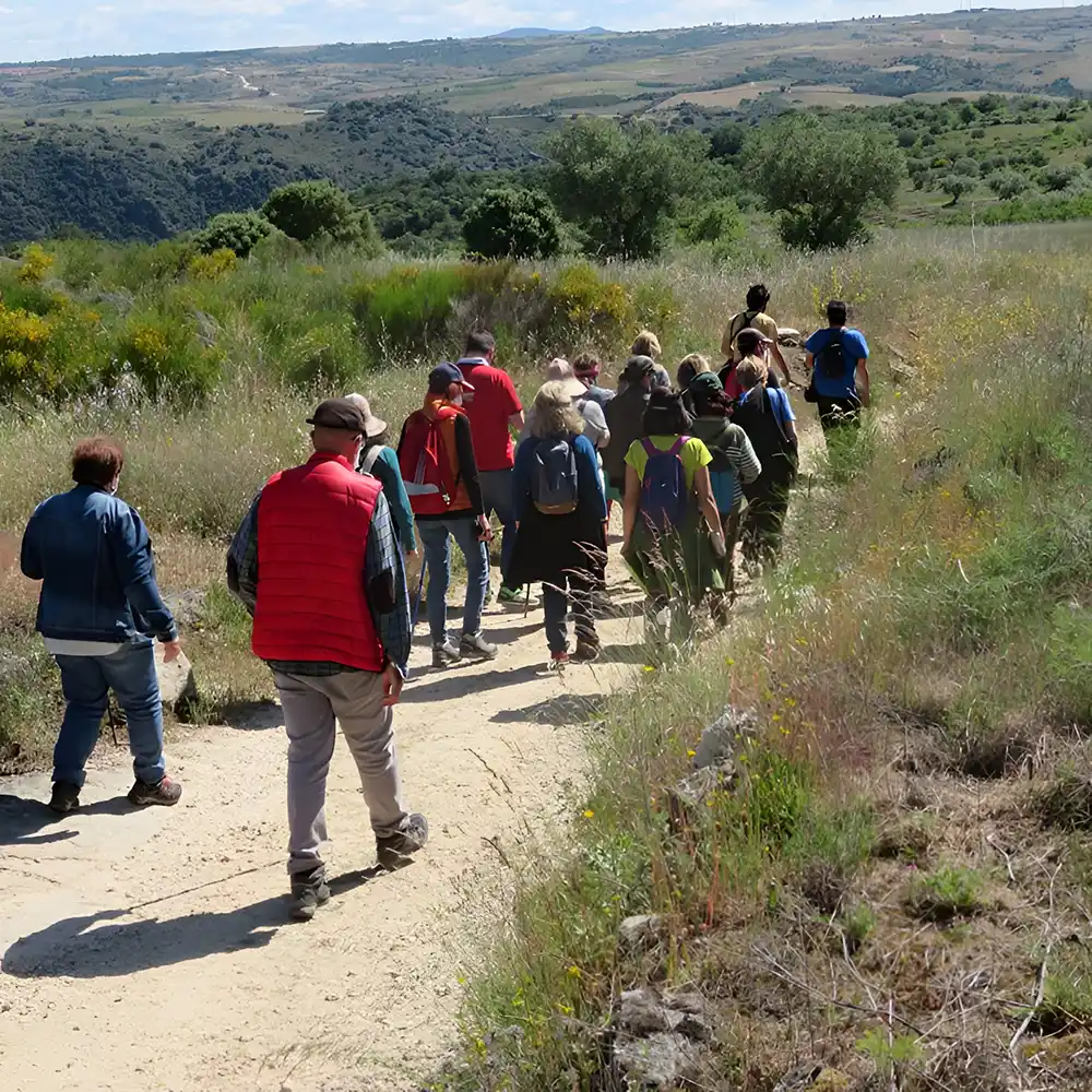 Actividad en la naturaleza de Erithacus.