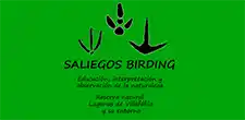 Logo de saliegos birding.