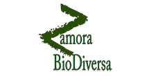 Logo de Zamora biodiversa.